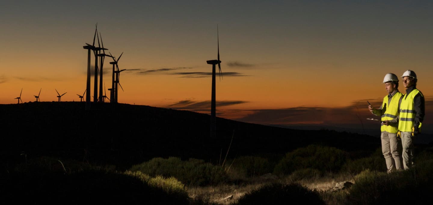 Wind farms project