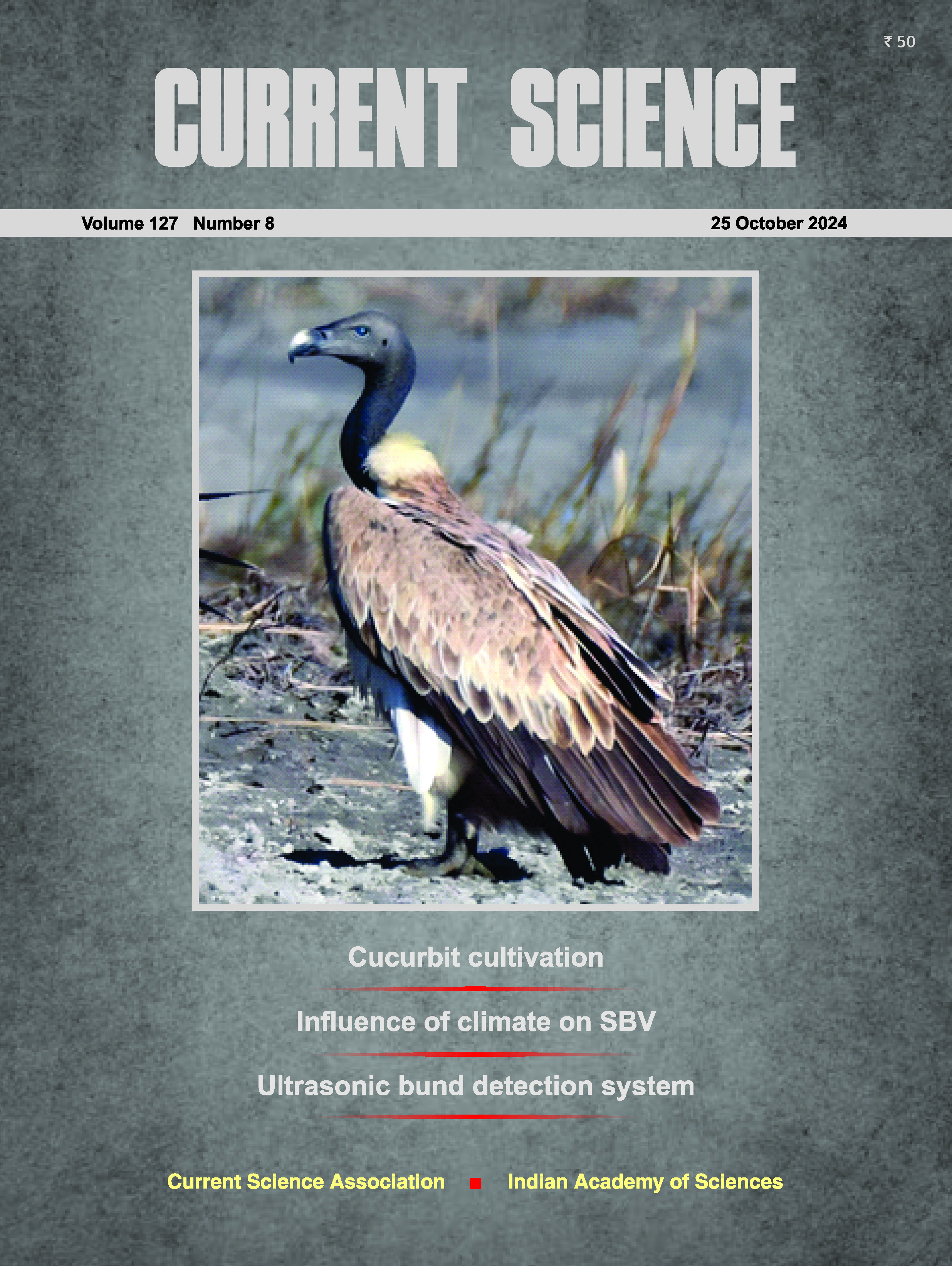 Publication by Charuta