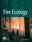 Publication 4